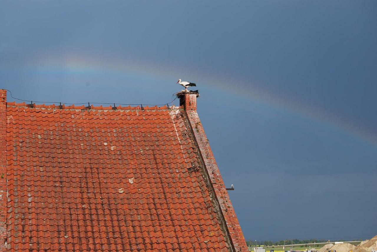 Ranczo Ryki Villa โนวี ดวูร์ กดันสกี ภายนอก รูปภาพ